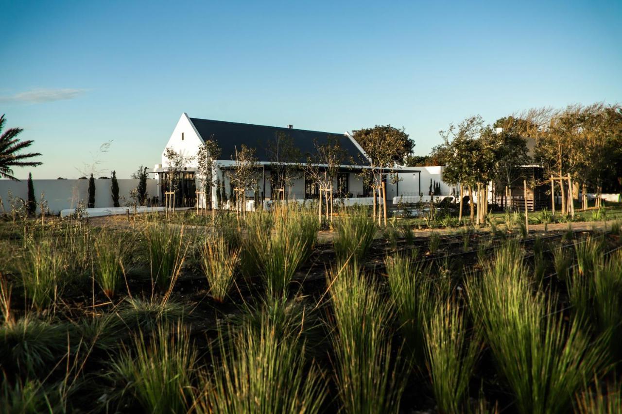 Vergenoegd Loew Boutique Hotel & Spa Cape Town Ngoại thất bức ảnh
