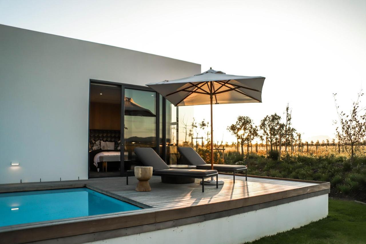 Vergenoegd Loew Boutique Hotel & Spa Cape Town Ngoại thất bức ảnh